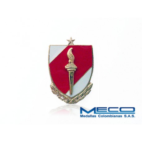 Distintivo EAS Oficial con Laurel 1 Estrella Ejercito Nacional