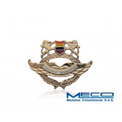 Distintivo Comando Terrestre Ejercito Nacional