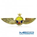 Alas Piloto 1 Estrella Policia Nacional